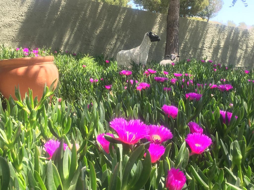 Finca El Otero Aigues Dış mekan fotoğraf